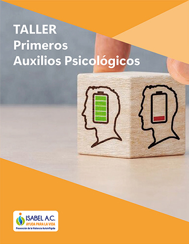 taller desarrollo